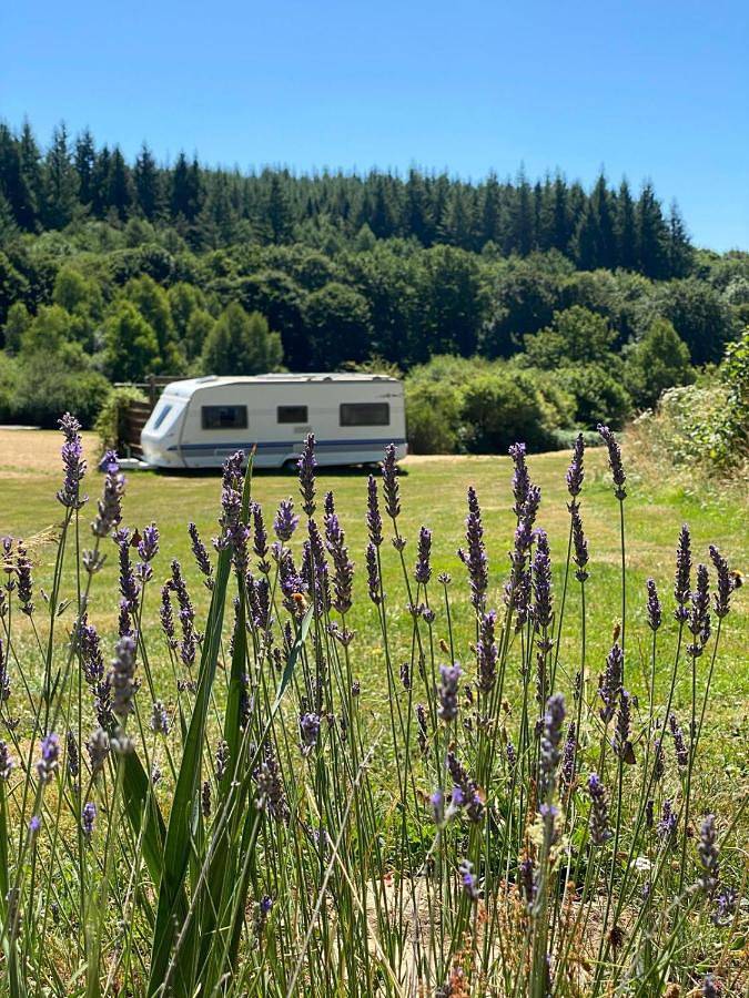 Gîte pour 4 personnes, avec piscine et vue à Sornac
