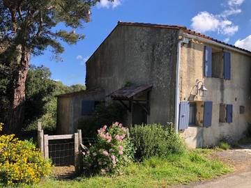 Gîte pour 3 personnes, avec terrasse et vue à Albières