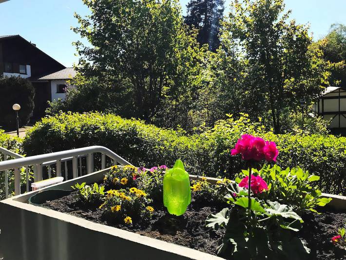 Ferienhaus für 2 Personen, mit Garten, mit Haustier in Goslar - 3