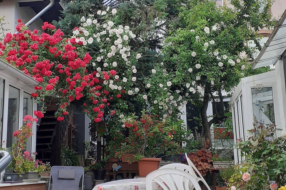 Appartement de vacances