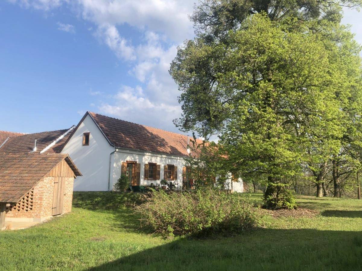 Ganze Wohnung, Ferienwohnung für 2 Personen mit Terrasse in Kukmirn, Bezirk Güssing
