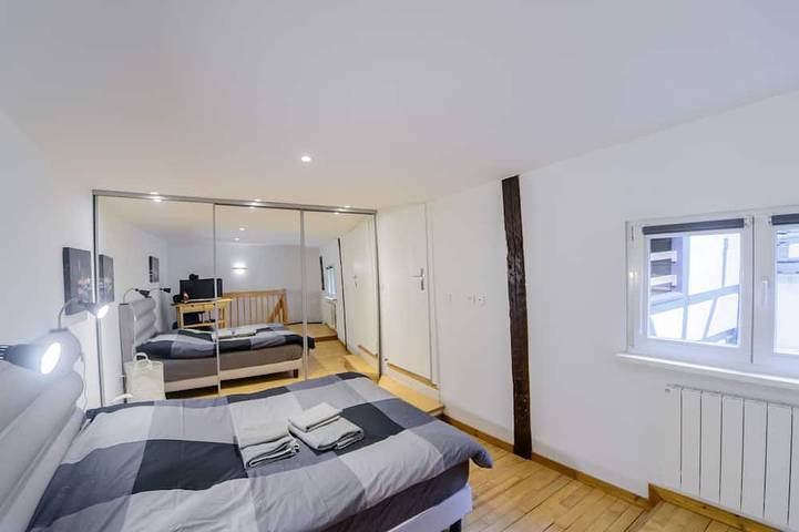 Apartamento entero, Piso acogedor y tranquilo en el centro histórico. in Estrasburgo, Región de Estrasburgo