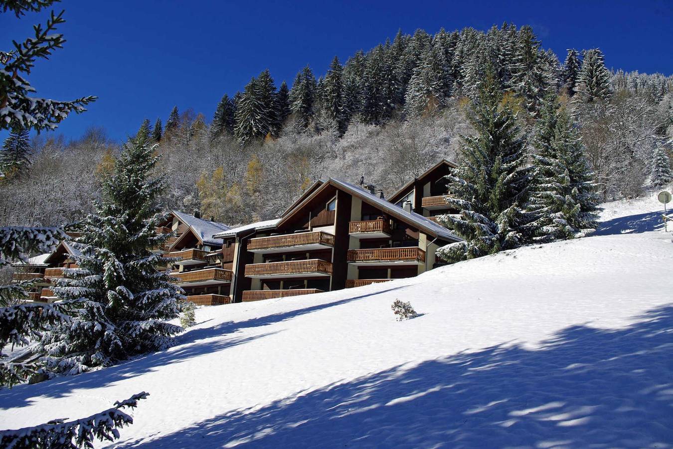 Ganze Wohnung, Les Hauts de Planchamp - Ancolie - 2-Zimmer-Appartment für 5 Personen (025Cl) in Champagny-en-Vanoise, Nationalpark Vanoise
