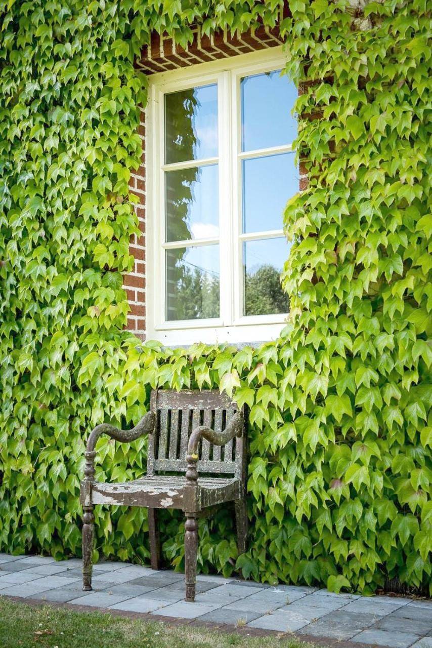 Deluxe Twin Room in Couvin, Parc Naturel Viroin Hermeton