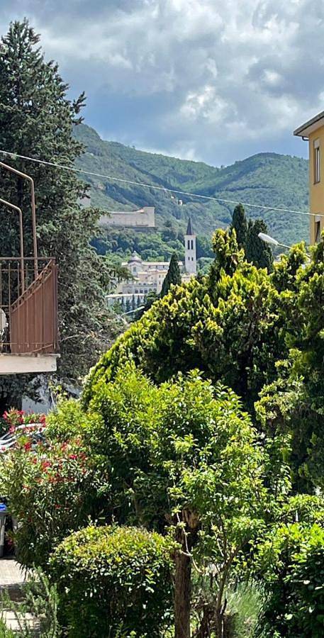Appartamento vacanze per 5 persone, con terrazza, con animali domestici - 1