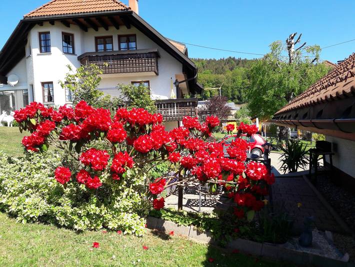 Ferienwohnung für 2 Personen, mit Balkon und Terrasse sowie Garten