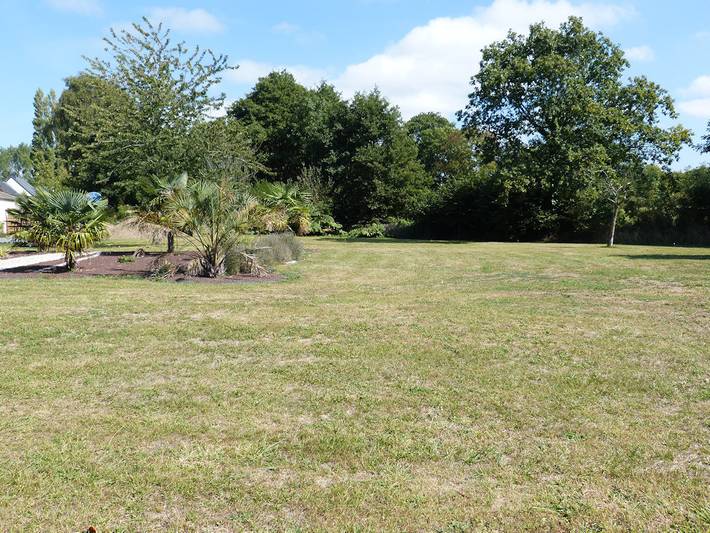 Gîte pour 10 personnes, avec terrasse et jardin, animaux acceptés à Blainville-sur-Mer - 2