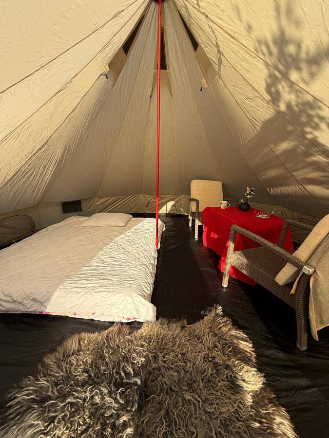 Pine Nest Glamping in Wilno, Litwa