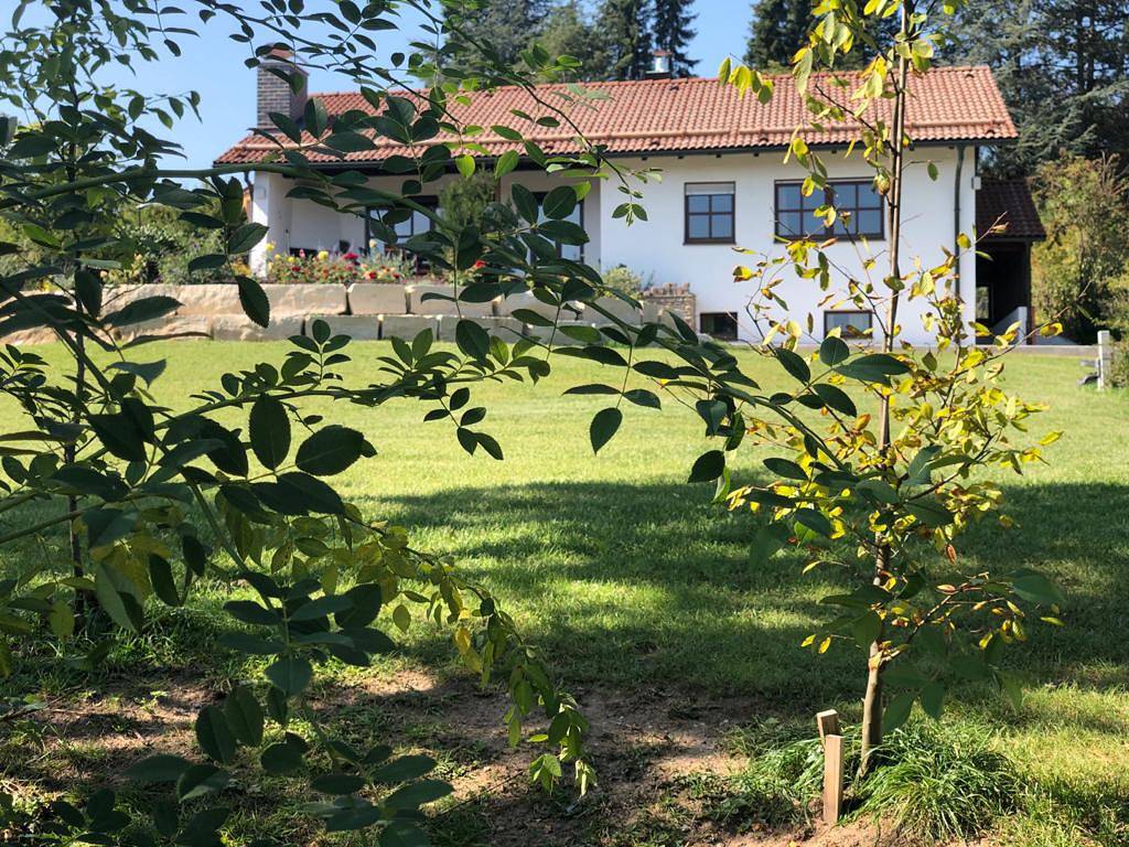 Landhaus Finest - Ferienwohnung Appartement "Grünsberg" in Altdorf bei Nürnberg, Frankenalb