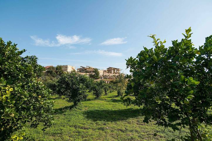 Charming Villa with Lemon Garden Near Lido di Noto Beach in Lido di Noto, Noto region