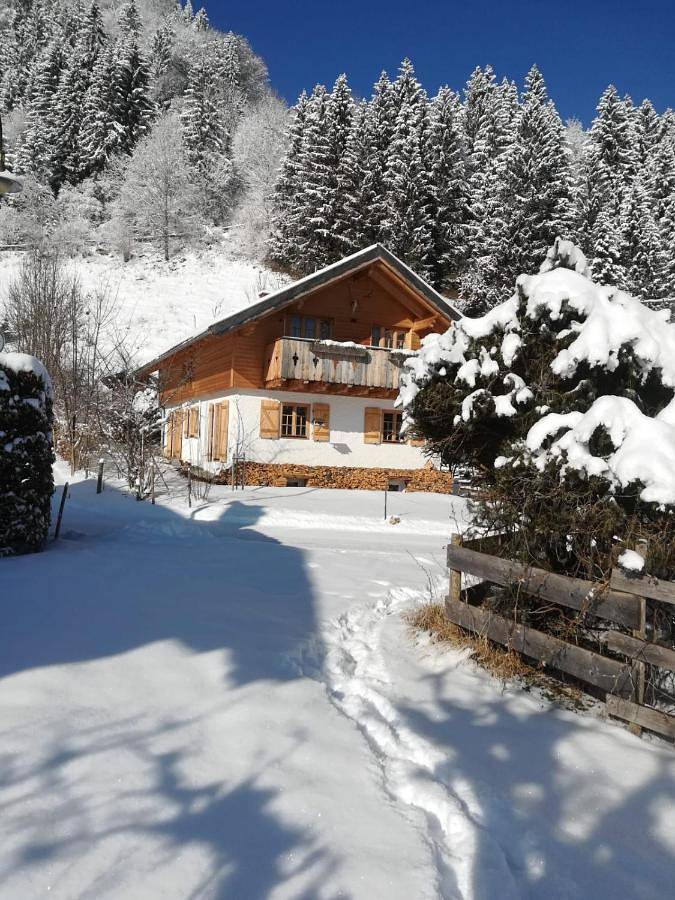 Ferienhaus für 11 Personen, mit Garten und Ausblick, mit Haustier in Pfronten - 3