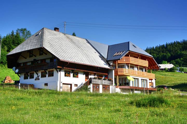 Ganze Wohnung, Ferienwohnung 'Hochtalblick' mit Bergblick, Gemeinschaftsgarten und Wi-Fi in Ibach, Südschwarzwald