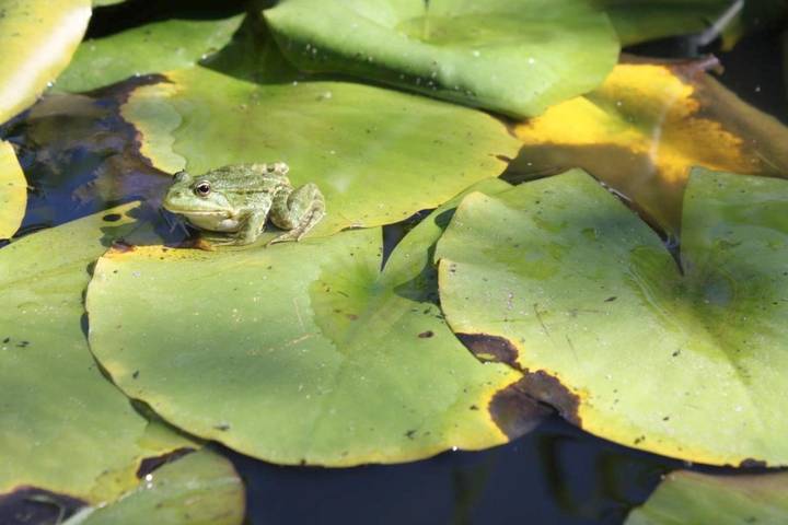 Chambre d’hôte pour 2 personnes, avec jardin ainsi que vue et terrasse en Bourgogne