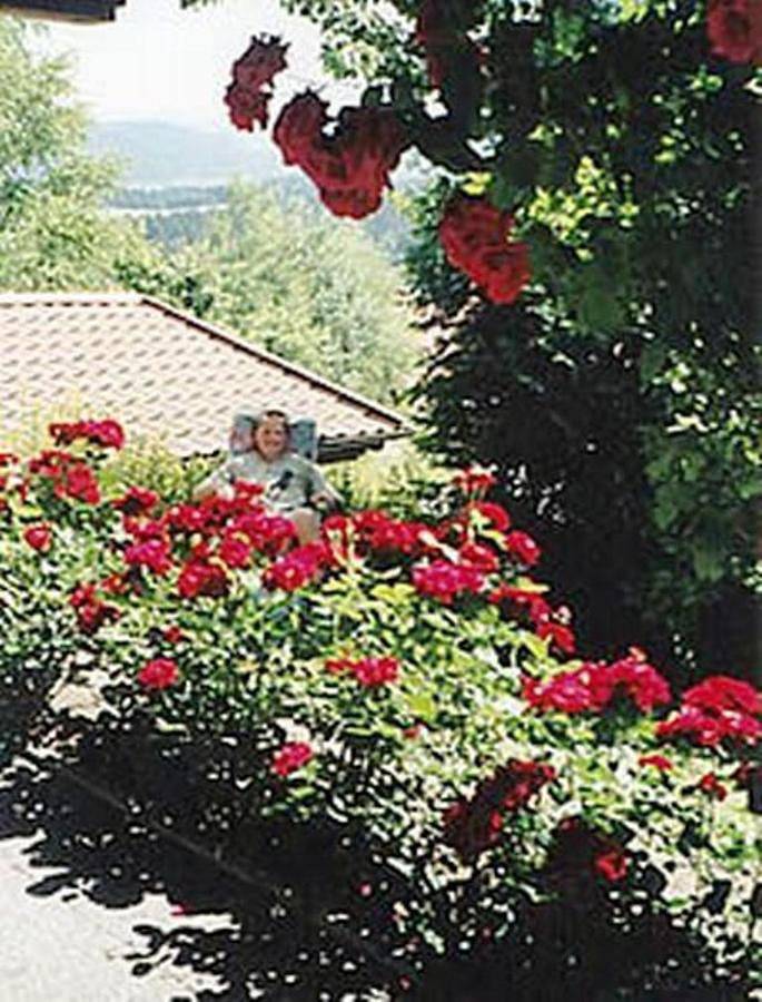 Ganze Wohnung, Haus Bergblick Bay. Wald in Prackenbach, Ostbayern