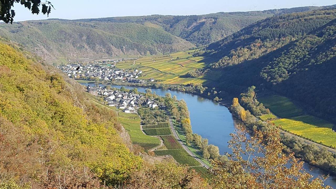 Ganze Wohnung, Apartment with Mountain View in Valwig, Cochem-Zell