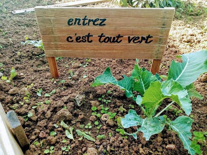 Chalet pour 2 personnes, avec jardin ainsi que vue et terrasse, animaux acceptés dans le Cher - 2