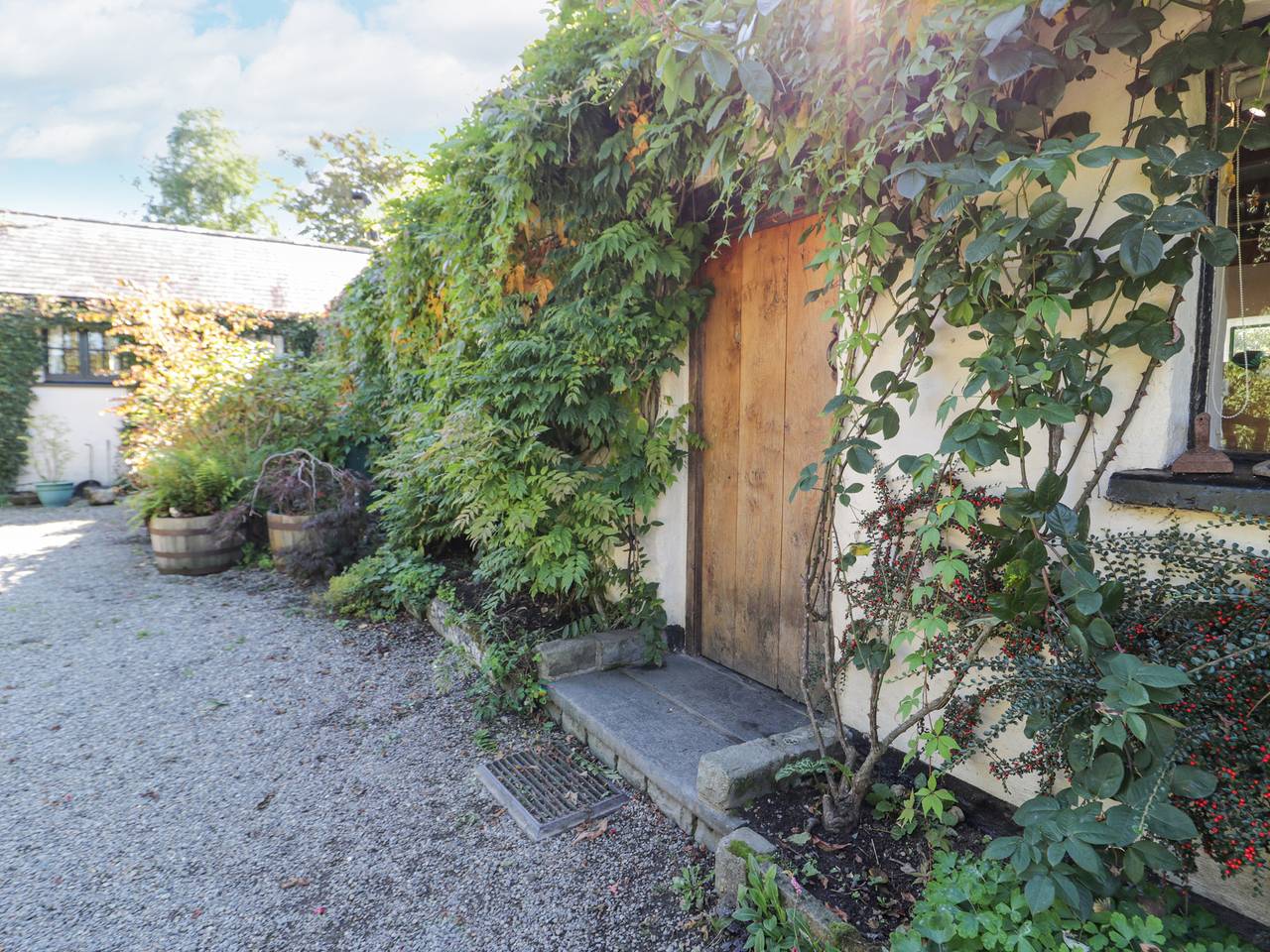 Rhyd Lechog in Snowdonia