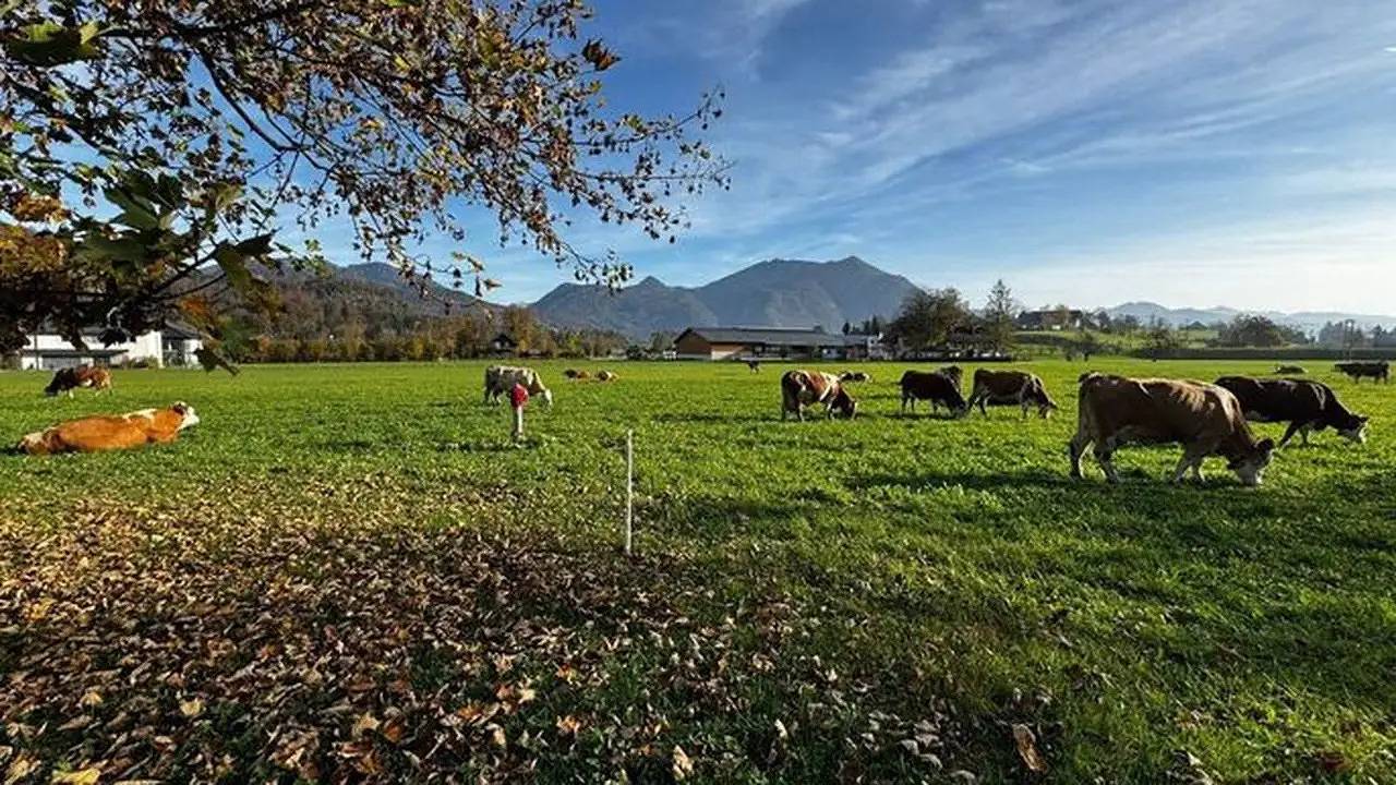 Ganze Ferienwohnung, Ferienwohnung für 2 Personen (81 m²) in Strobl in Strobl, Bezirk Salzburg-Umgebung