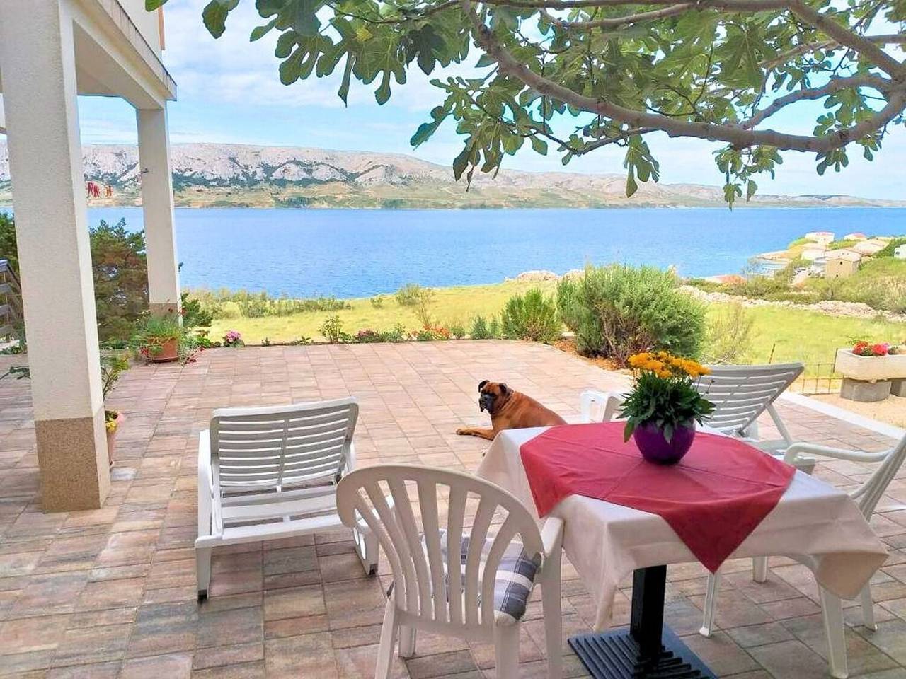 Cały apartament, Apartments Poolhouse in Metajna, Pag (Wyspa)