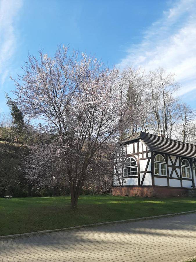 Gîte pour 6 personnes, avec jardin et vue, animaux acceptés dans Konigerode - 4