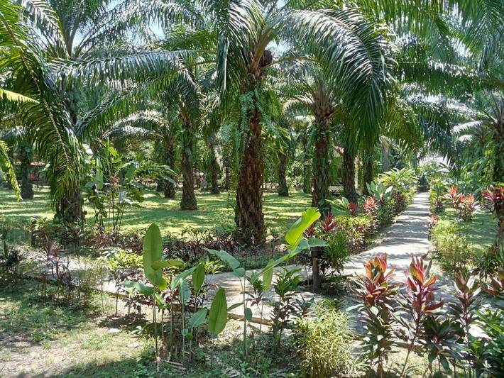 Station pour 2 personnes, avec jardin et terrasse - 1