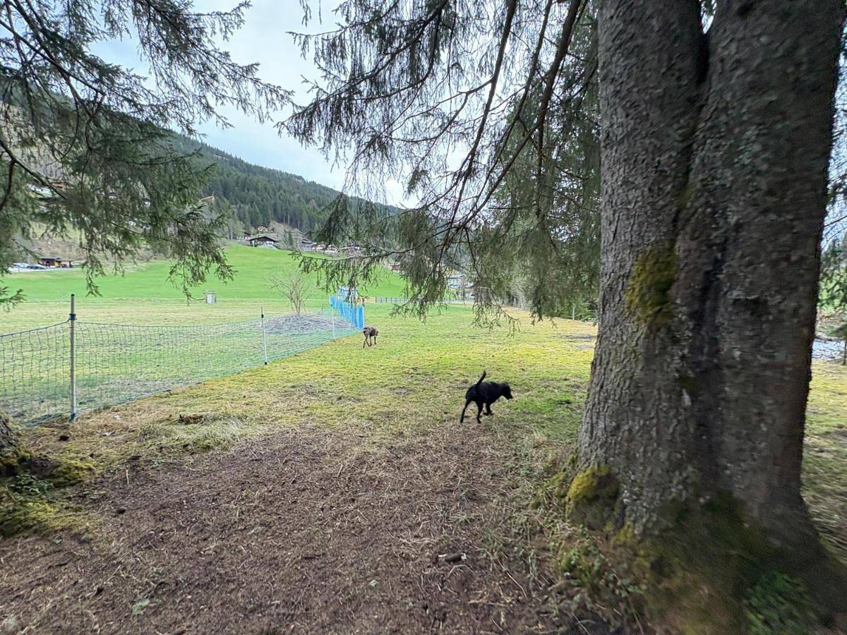 Landhaus St Georg inklusive Jokercard in Hinterglemm, Saalbach-Hinterglemm