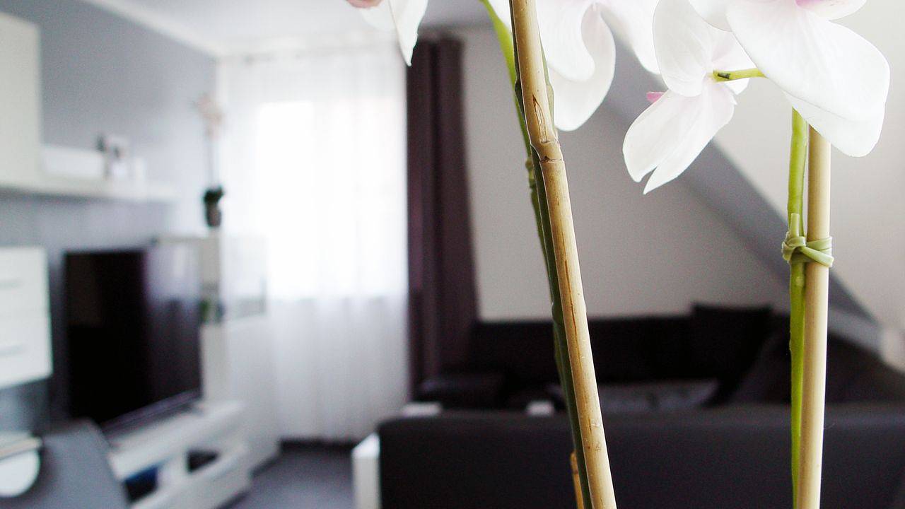 Ganze Ferienwohnung, Ferienwohnung für 2 Personen (54 m²) in Lotte in Lotte, Nordrhein-Westfalen