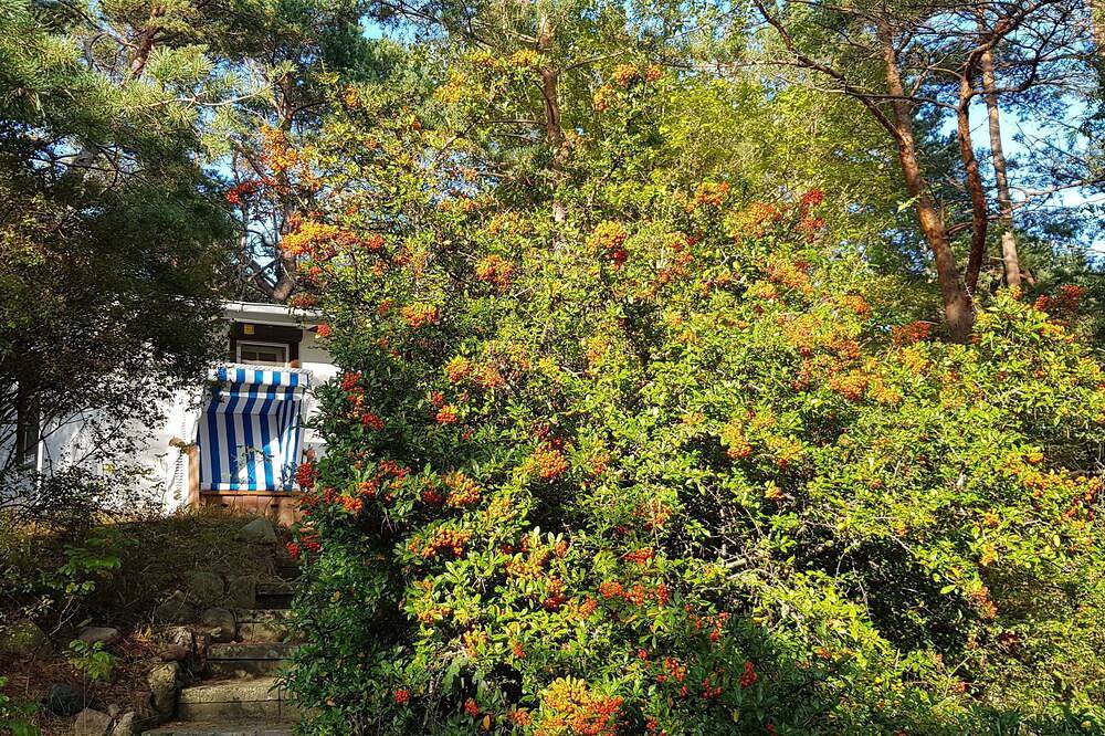 Gemütliches Ferienhaus auf Idyllischem Waldgrundstück, 100 m bis zur Ostsee in Zempin, Usedomer Norden