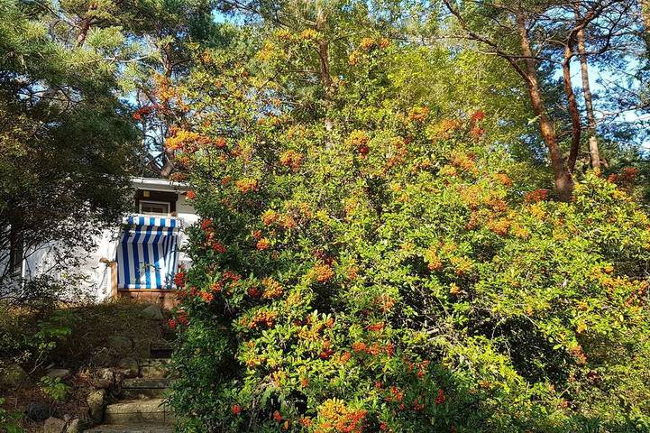 Ferienhaus für 4 Personen in Zempin