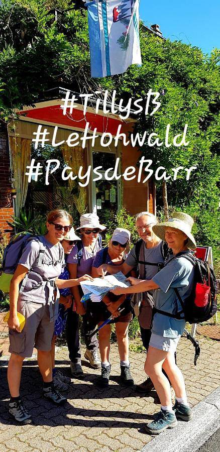 Maison d’hôte pour 2 personnes, avec vue et terrasse, animaux acceptés à Le Hohwald - 2