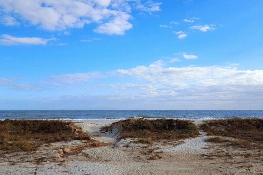 Entire apartment, Ocean View at Island Club in Folly Field, Port Royal Plantation