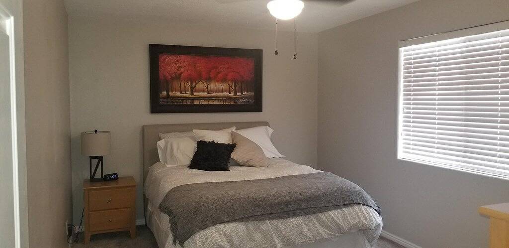 Ganze Wohnung, Neu renovierte Wohnung in bester Lage in Las Palmas! in St. George, Zion Nationalpark