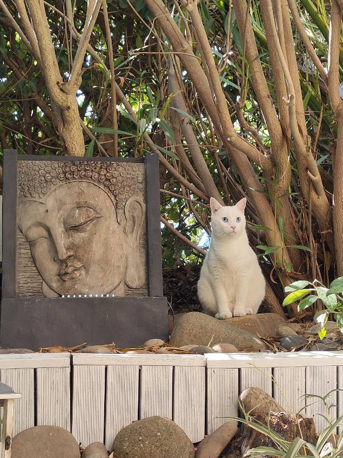 Gîte pour 6 personnes, avec jardin et piscine, adapté aux familles dans Tamaris - 3