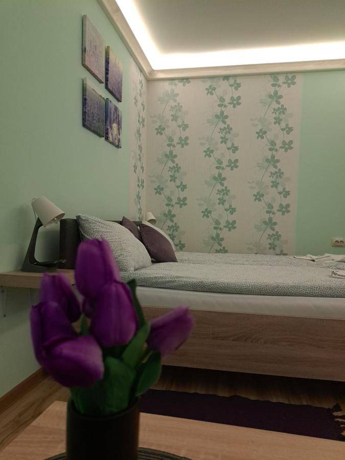 Maison d’hôte pour 3 personnes, avec jardin et terrasse dans Палић - 2