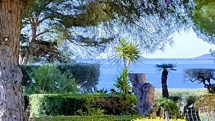 Gîte pour 3 personnes, avec terrasse et jardin à Sanary-sur-Mer
