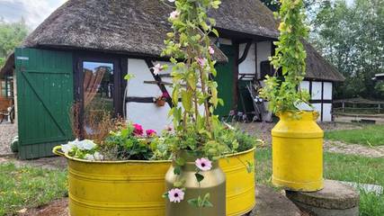 Bauernhof für 4 Personen, mit Terrasse und Garten, mit Haustier in Biendorf