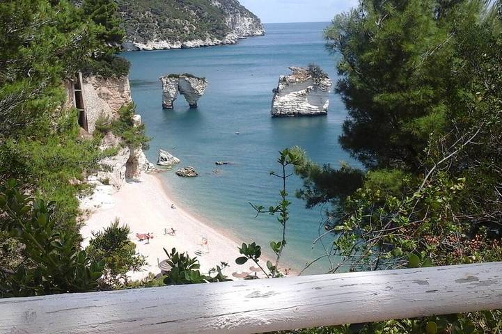 Vacation rental for 6 people, with terrace and yard, with pets in Gargano