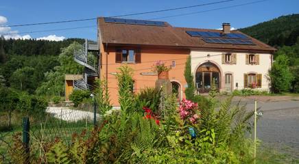 Gîte pour 18 personnes, avec sauna et piscine ainsi que jardin et terrasse, animaux acceptés à Moyenmoutier