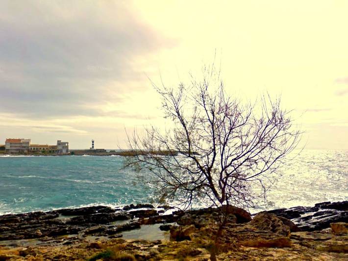 Finca für 6 Personen, mit Terrasse in Colònia de Sant Jordi - 3