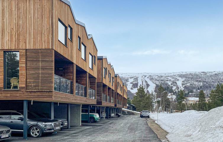Ganze Ferienwohnung, Ferienwohnung für 4 Personen mit Terrasse in Bjorli, Lesja
