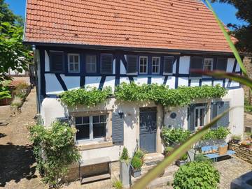 Ferienwohnung für 5 Personen, mit Balkon und Garten, kinderfreundlich in Rheinhessen
