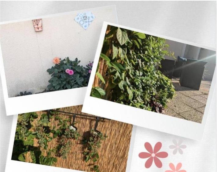 Gîte pour 4 personnes, avec terrasse, animaux acceptés dans Forges (Seine-et-Marne)