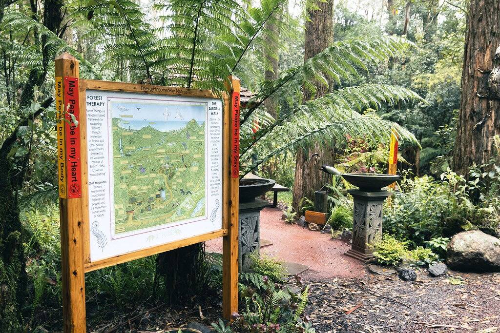 Luxus-Eco-Unterkunft Im Otway-Nationalpark Great Ocean Road Lorne in Lorne, Great Ocean Road