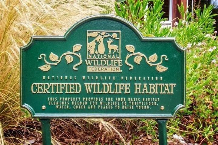 Vacation rental for 8 people, with hot tub and yard, with pets in Mendocino County