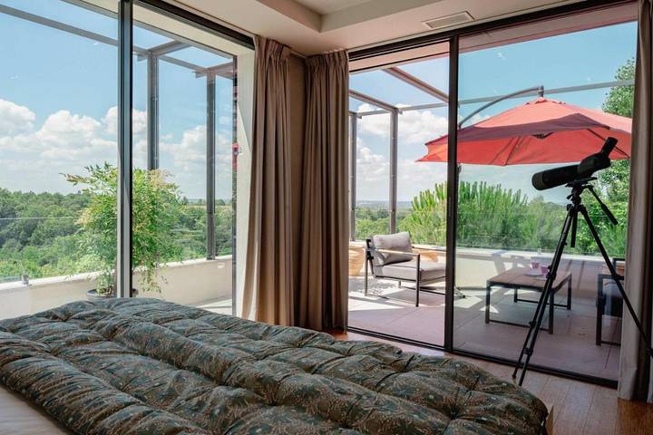 Hôtel pour 2 personnes, avec Terrasse ainsi que Jardin et Piscine à Carignan-de-Bordeaux - 2