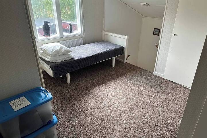 Apartment inkl Wifi / Waschmaschine / Canal Digital / Pool / Trampoline in Ekshärad, Värmland