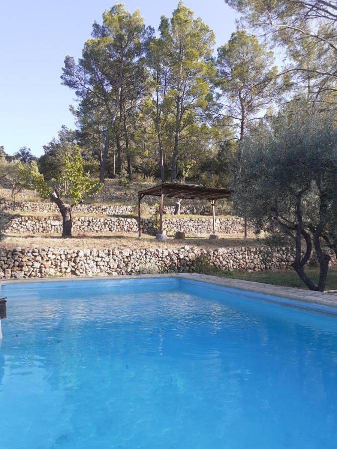 Gîte pour 3 personnes, avec terrasse et piscine ainsi que vue et jardin, animaux acceptés à Carcès - 4