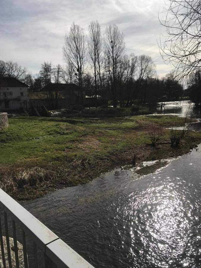 Location de vacances pour 3 personnes, animaux acceptés à L'Isle-sur-Serein - 3