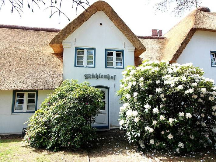Ferienhaus für 3 Personen, mit Terrasse - 1