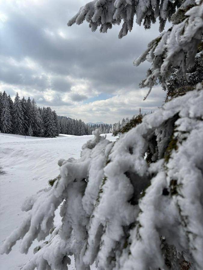 Single Room in Feldberg, Forêt-Noire du Sud